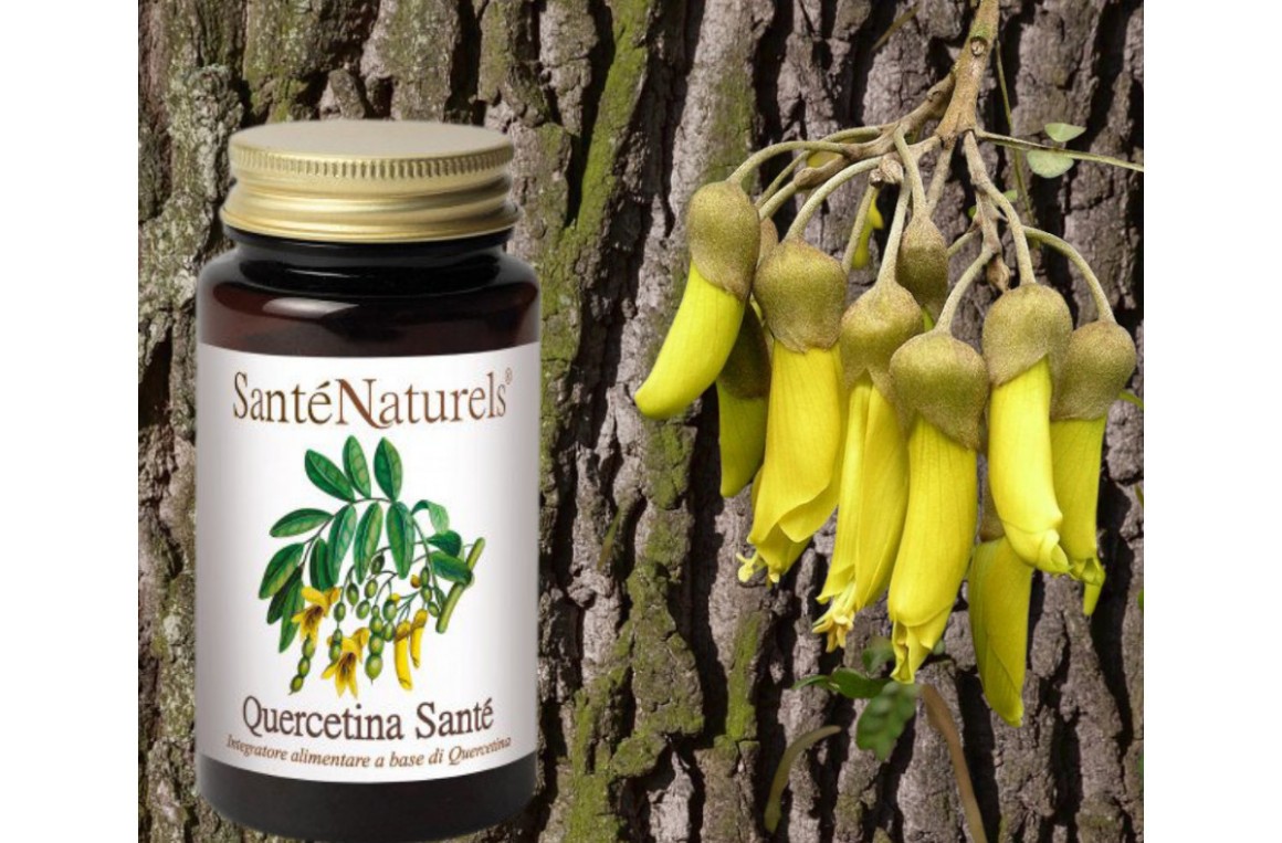 Proprietà della quercitina